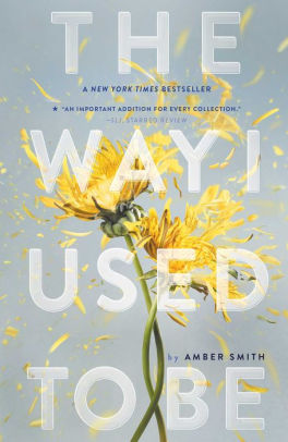 Book Review - The Way I Used To Be by Amber Smith